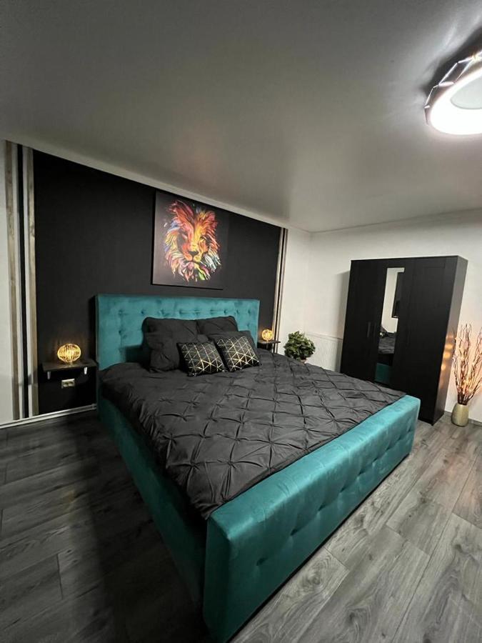 Luxor Ultra-Central Apartments Сибиу Екстериор снимка