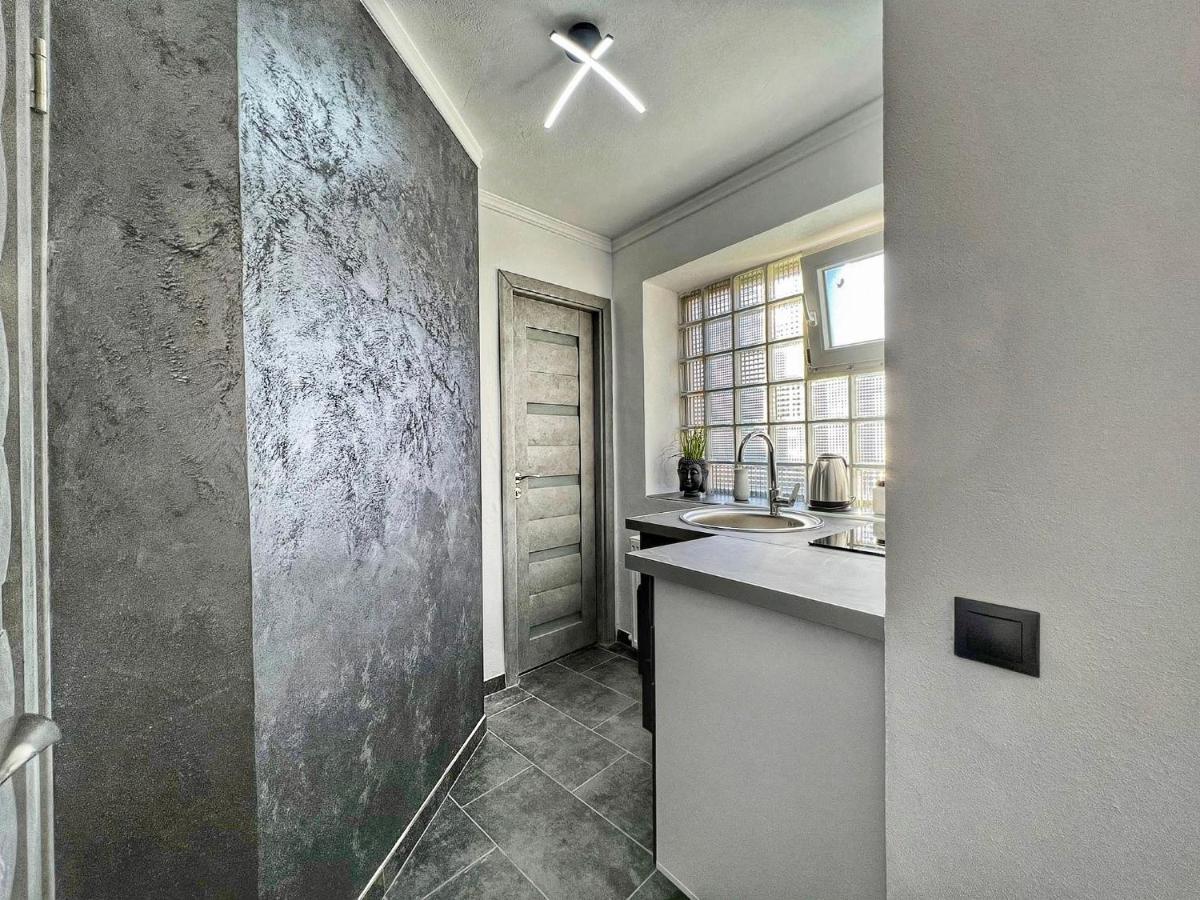 Luxor Ultra-Central Apartments Сибиу Екстериор снимка